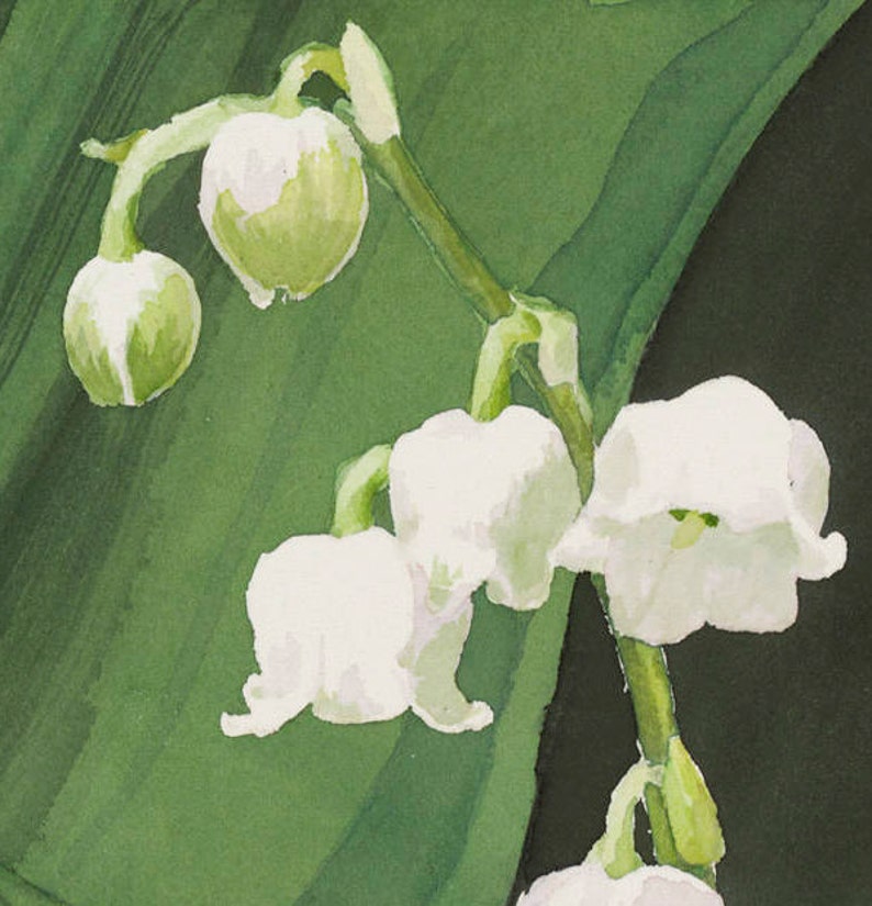 Lily Of The Valley 8x10 Watercolor Print Floral Flower Etsy