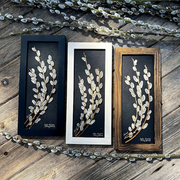 Pussy Willow Art Etsy