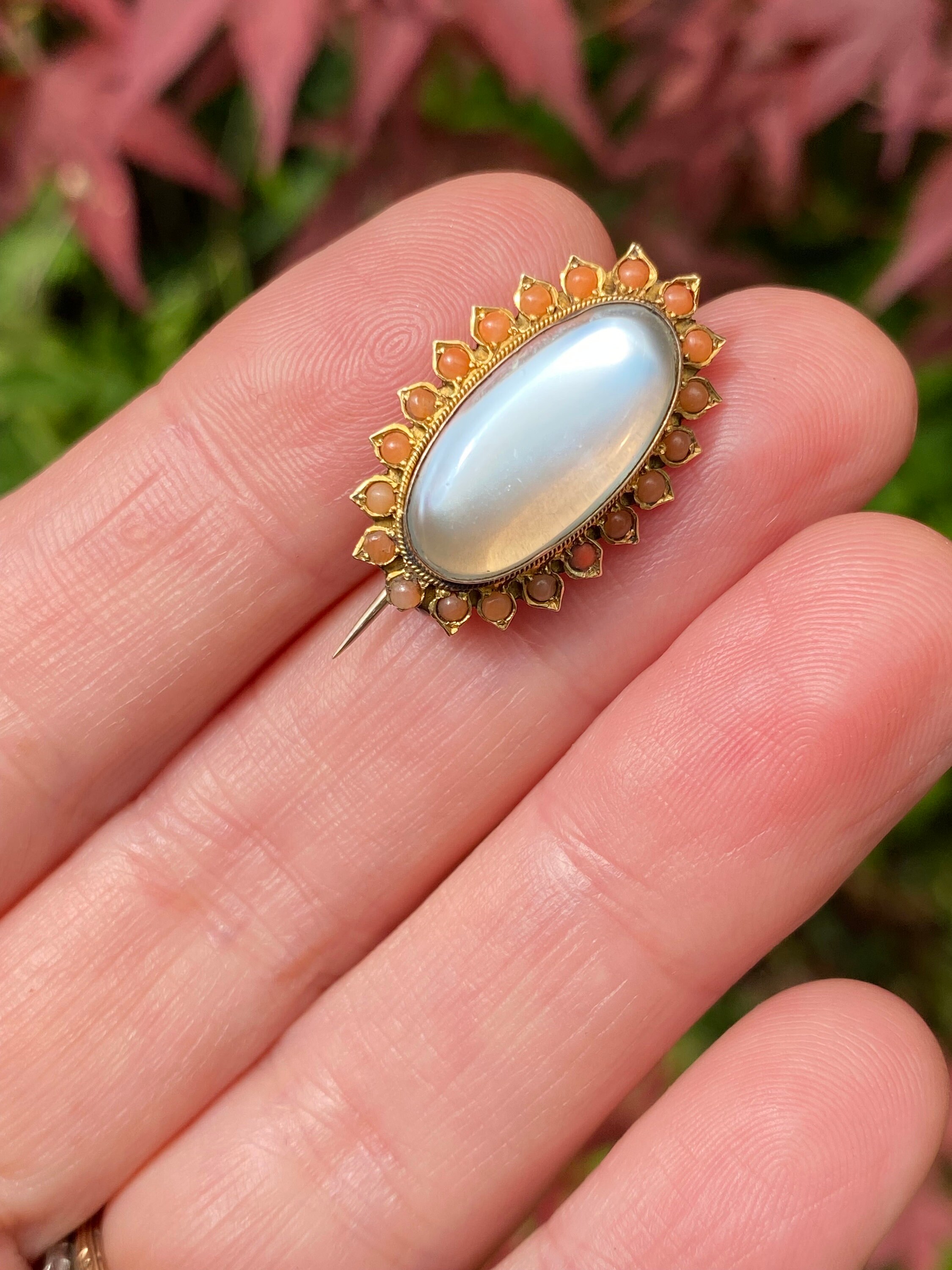 Antique ~ Gold Moonstone Coral Brooch