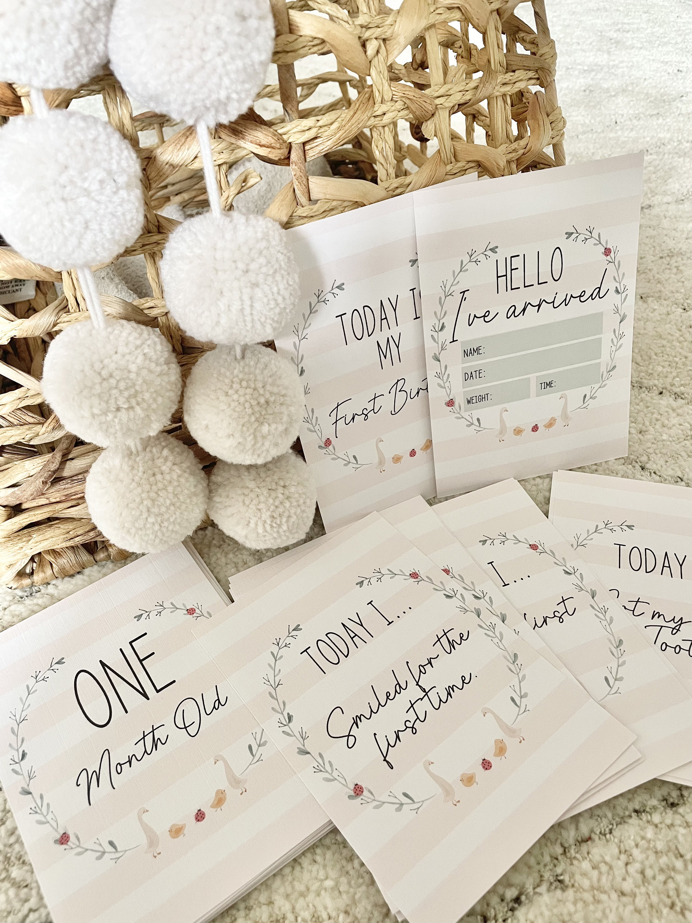 Spring Baby Milestone Cards, Keepsake New Gift, Pregnancy Animals, Shower Gift