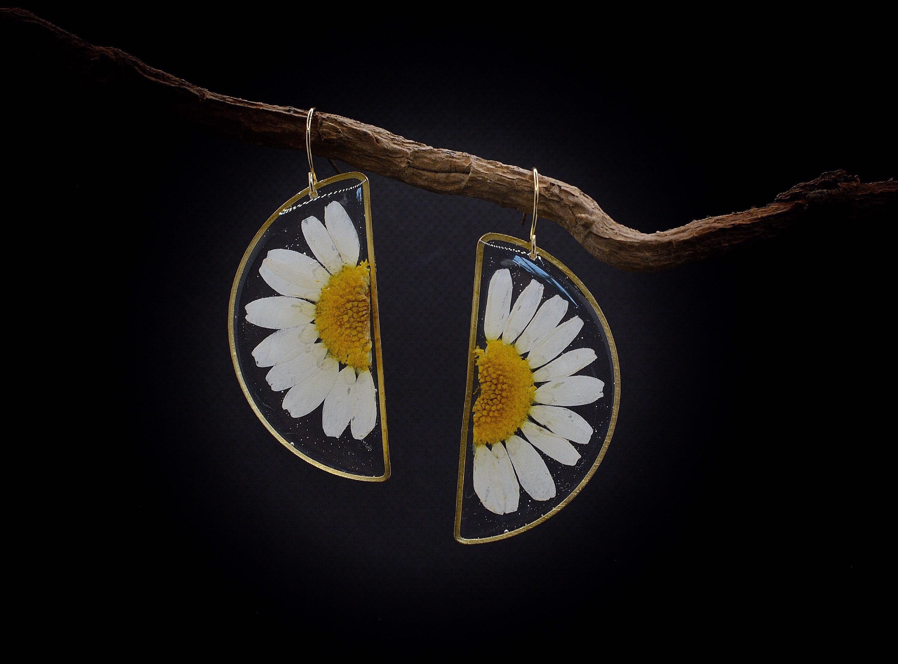 Semicircle Daisy Earrings, Boho Style, Pressed Flowers, Gift For Her, Preserved Botanical Brass Frame