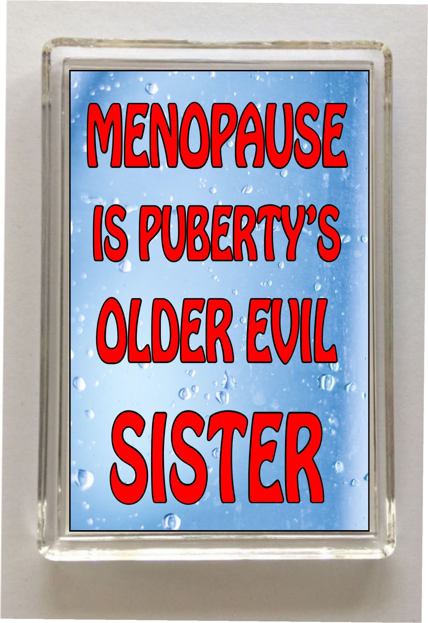 Menopause Fridge Magnet Gift Friendship Funny Thank You Etsy