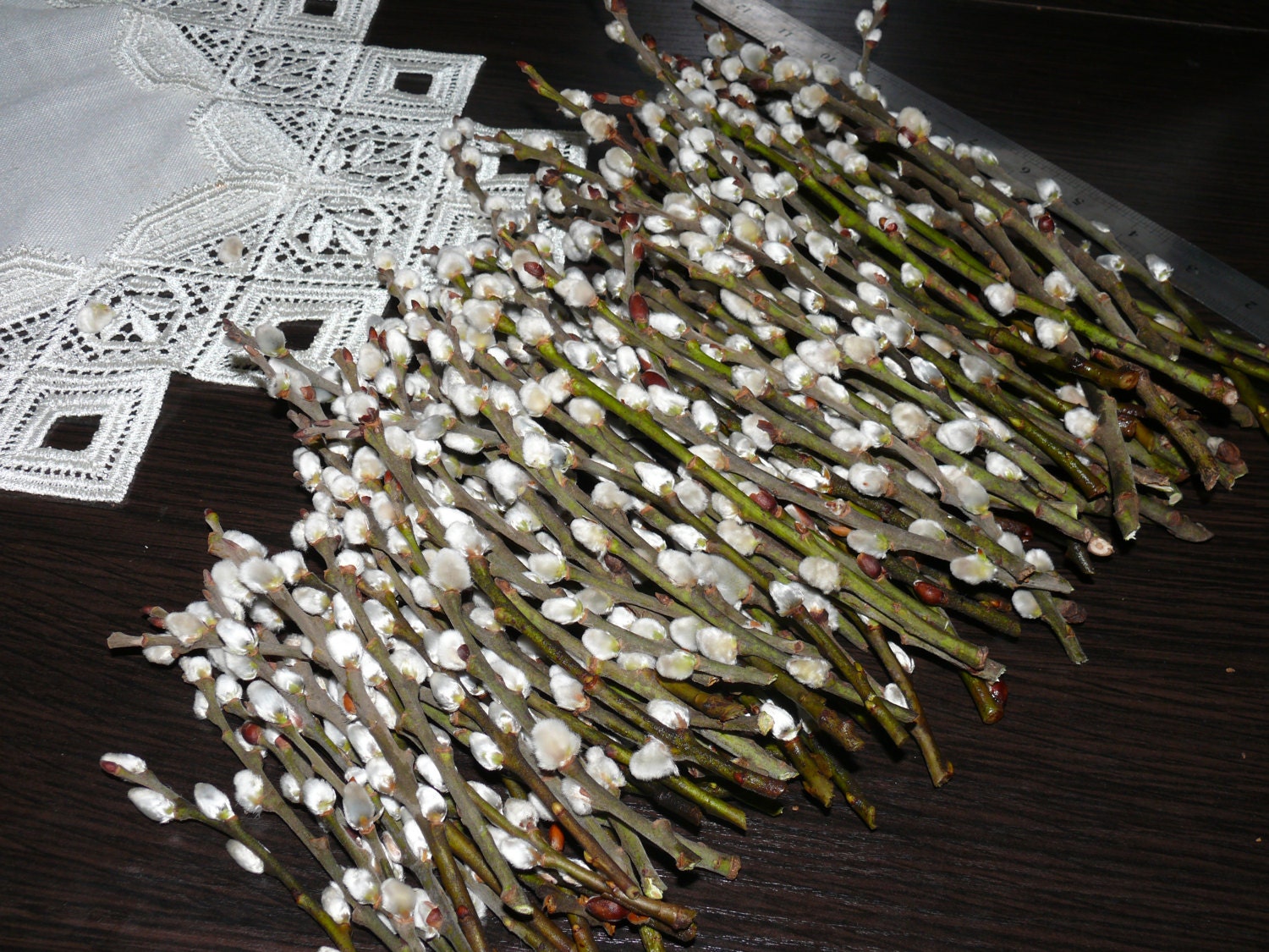 Pussy Willow Branches Easter Decor Home Decor Catkins Spring Decor Willow Dried Decor