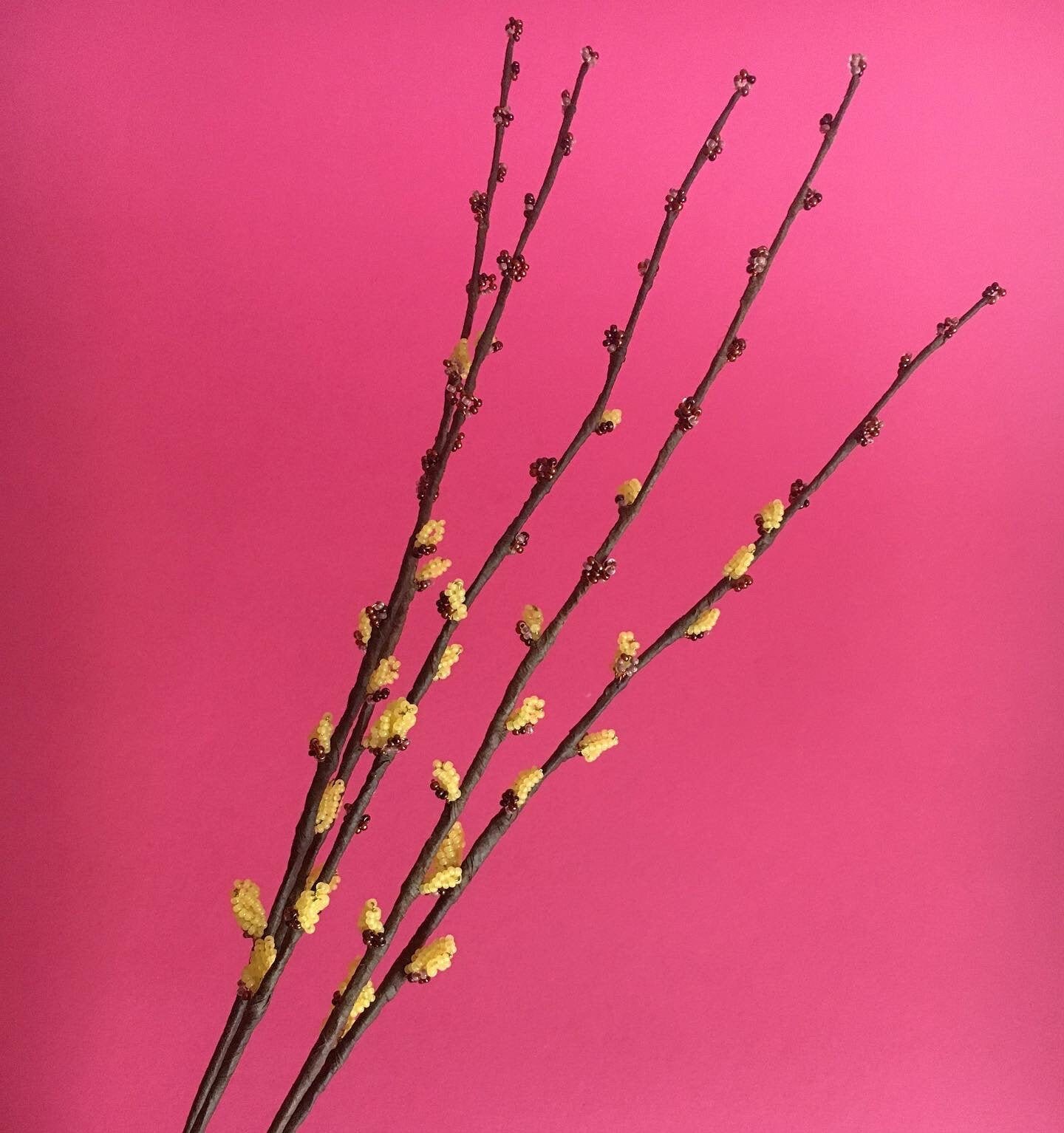 Pussy Willow Branch Etsy