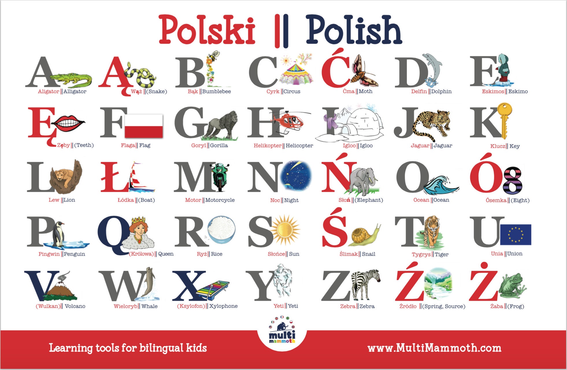 Z polski