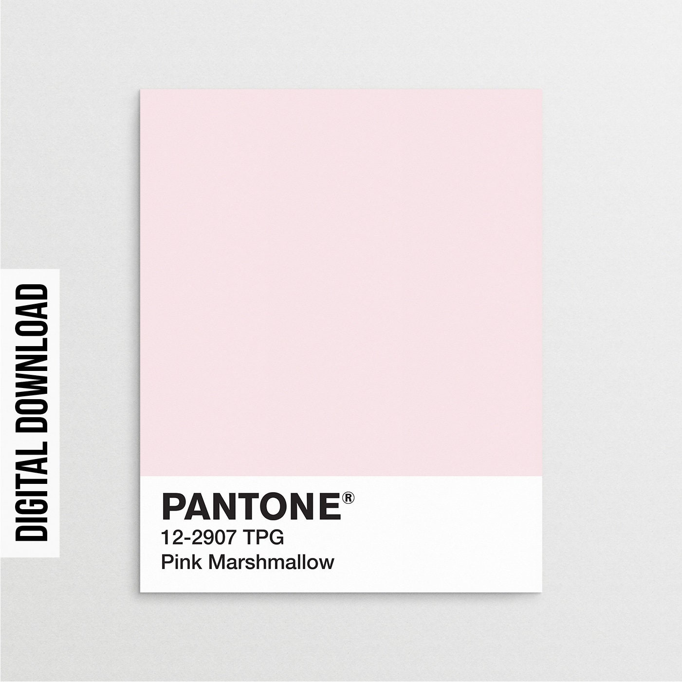 Pantone Print Pantone Pink Pantone Wall Art Pantone Etsy