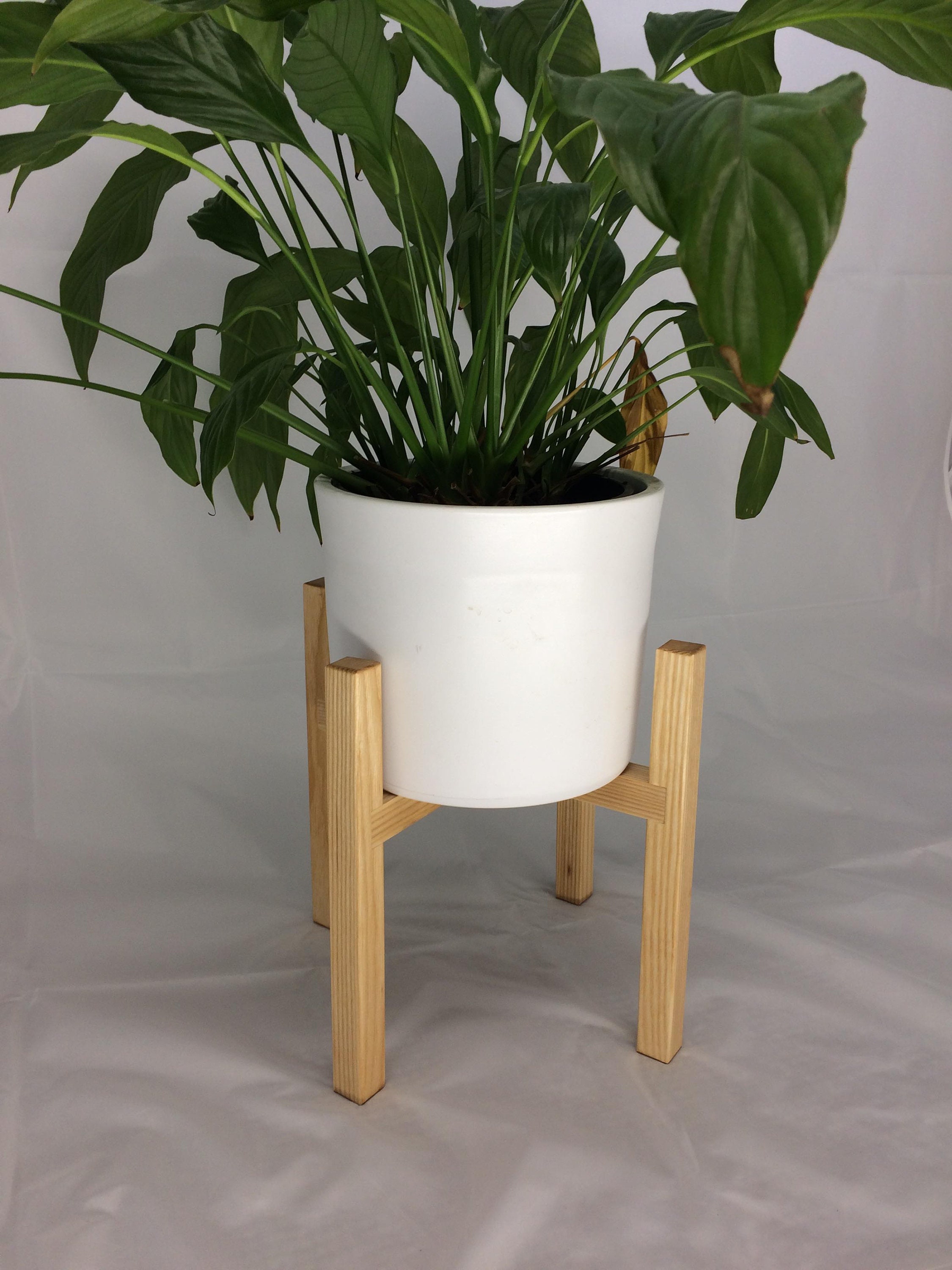 Handmade Ash Plant Stands