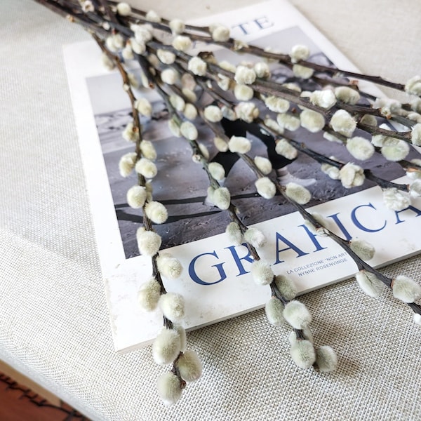 Pussy Willow Wreath Etsy