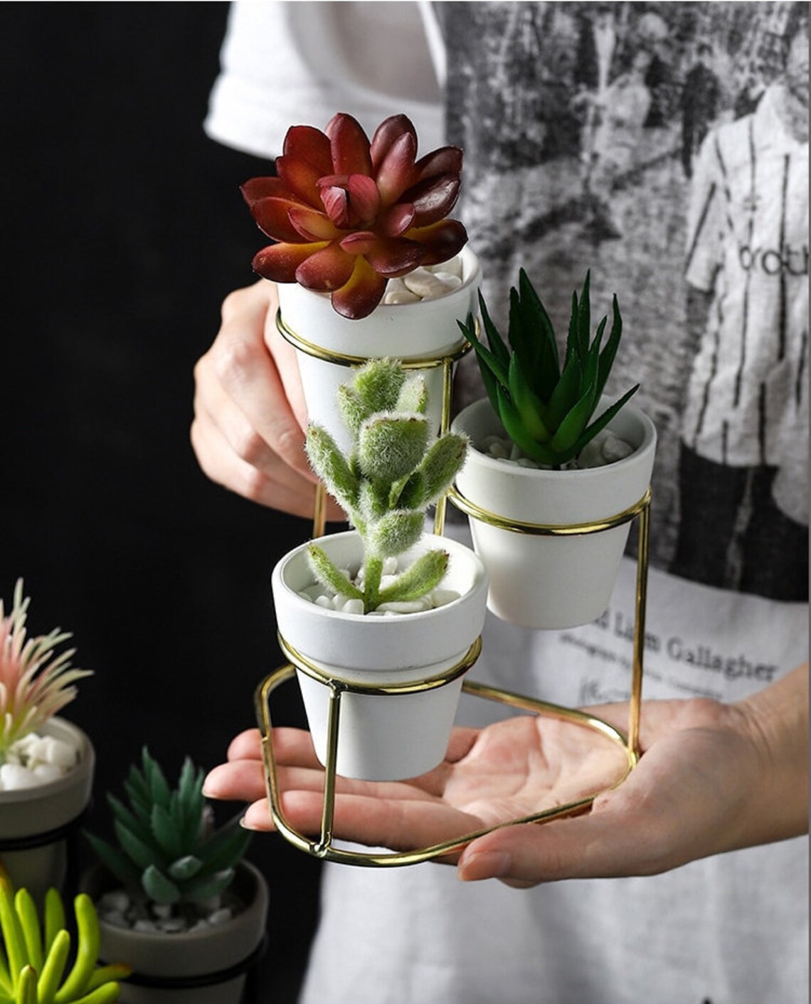 Set Of 3 Succulent Planter Pots Planter Terrarium Gift Bonsai Etsy