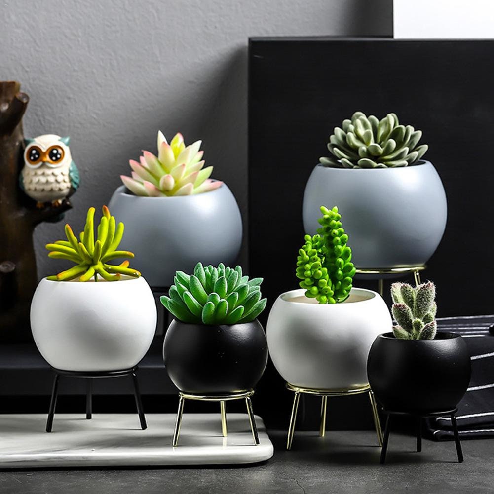 Succulent Planter Pots Planter Terrarium Gift Bonsai Ceramic Etsy
