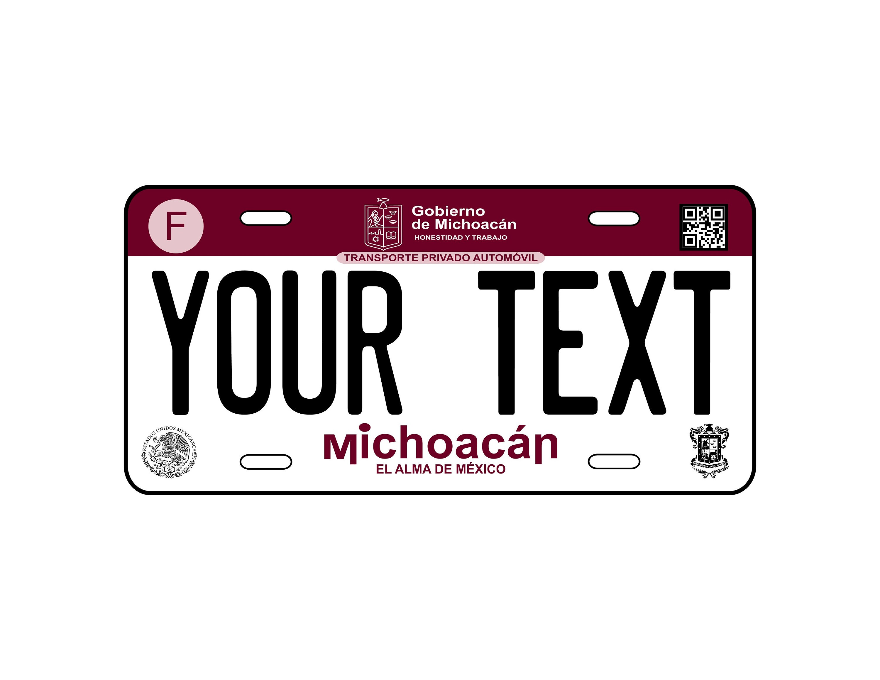 Michoacan State Car Plate Car Plate Mexico Car Plates From The States