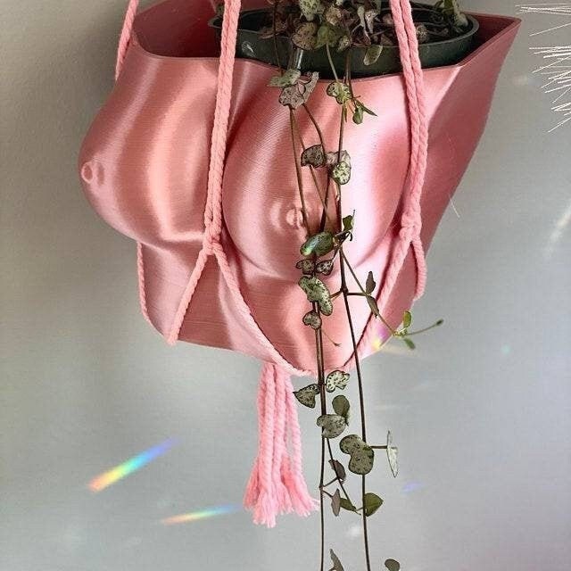 Boob Planter Etsy