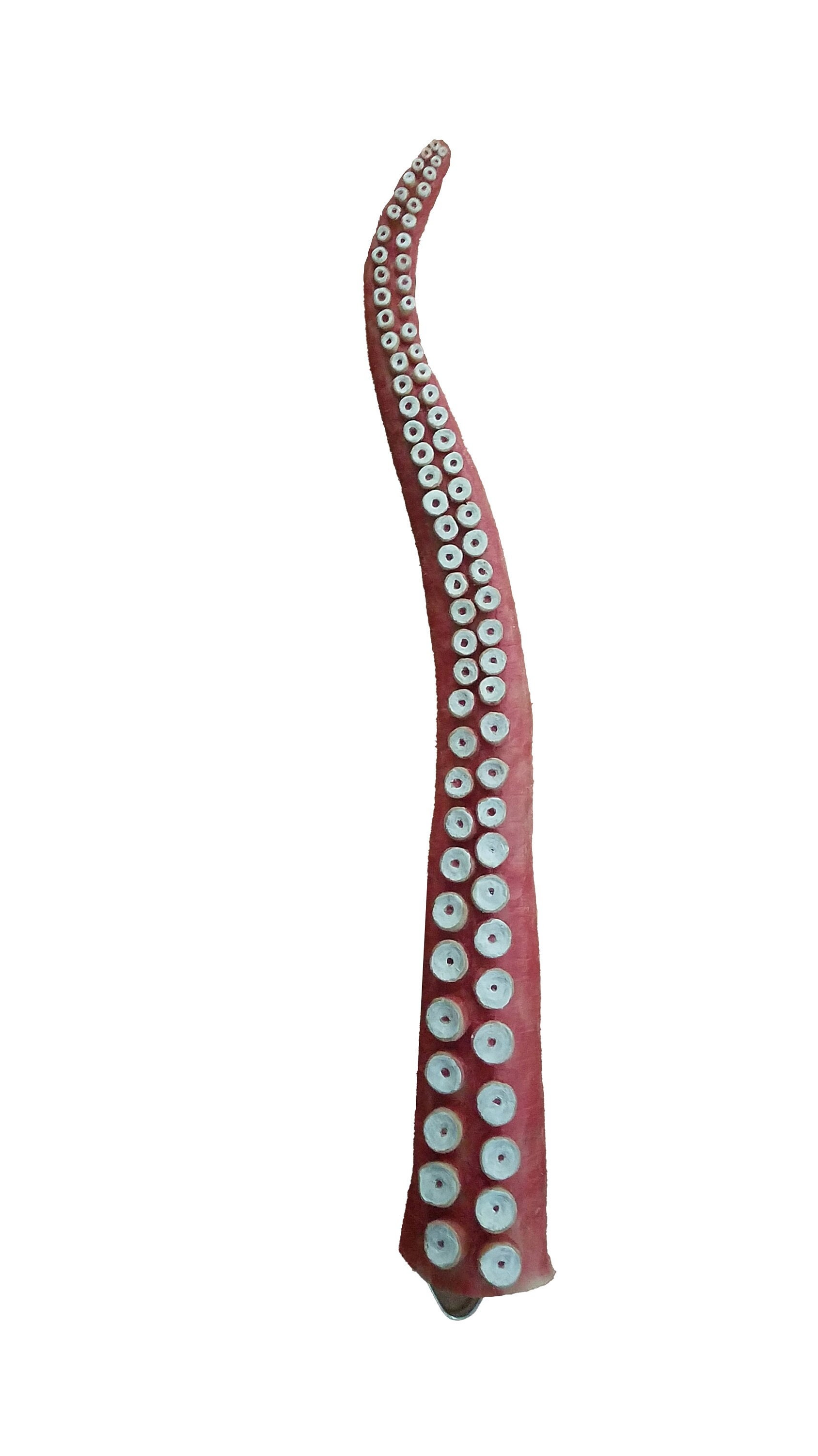 Octopus Dildo Etsy
