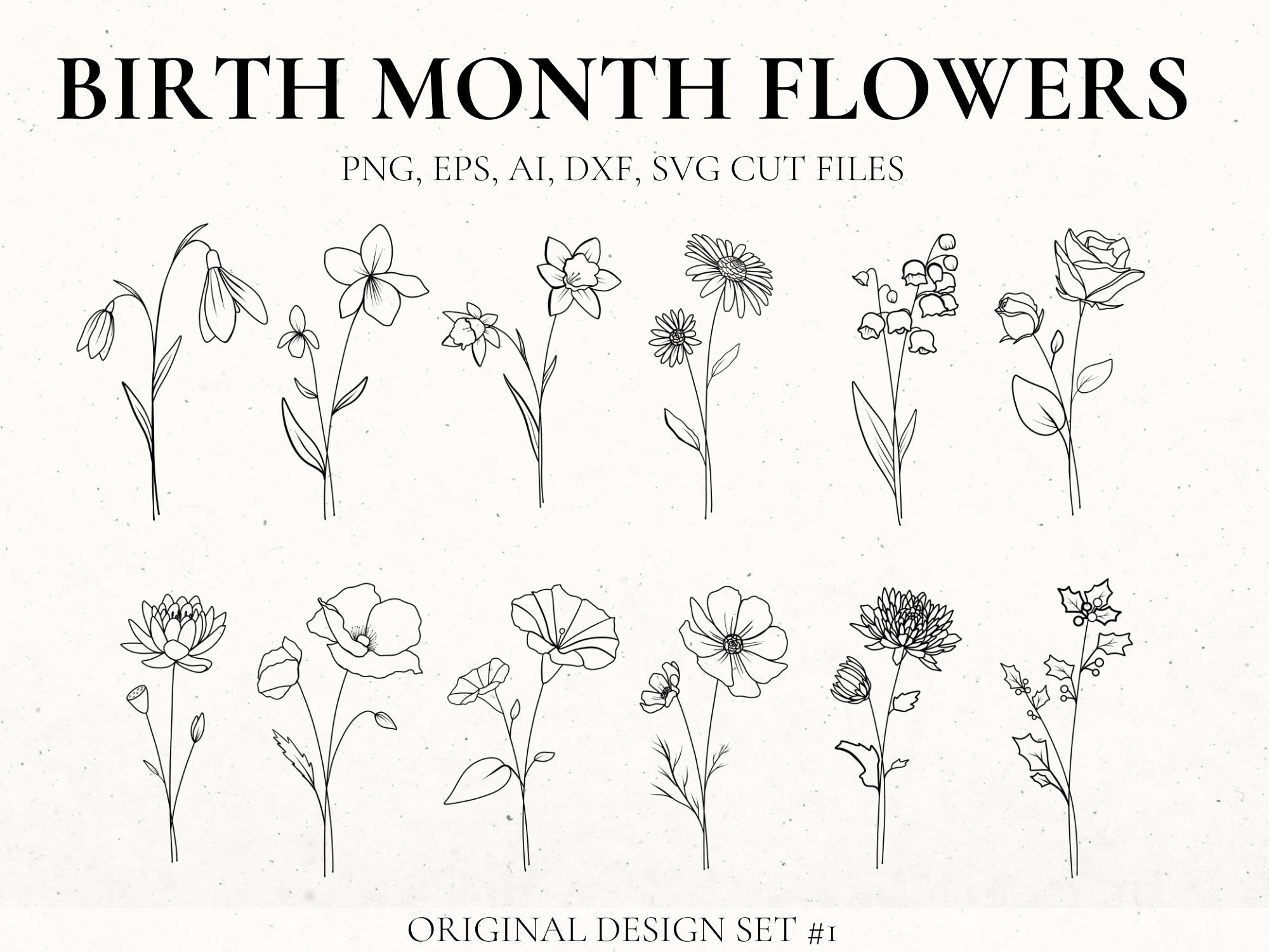 Line Drawings Of Birth Month Flowers Image To U