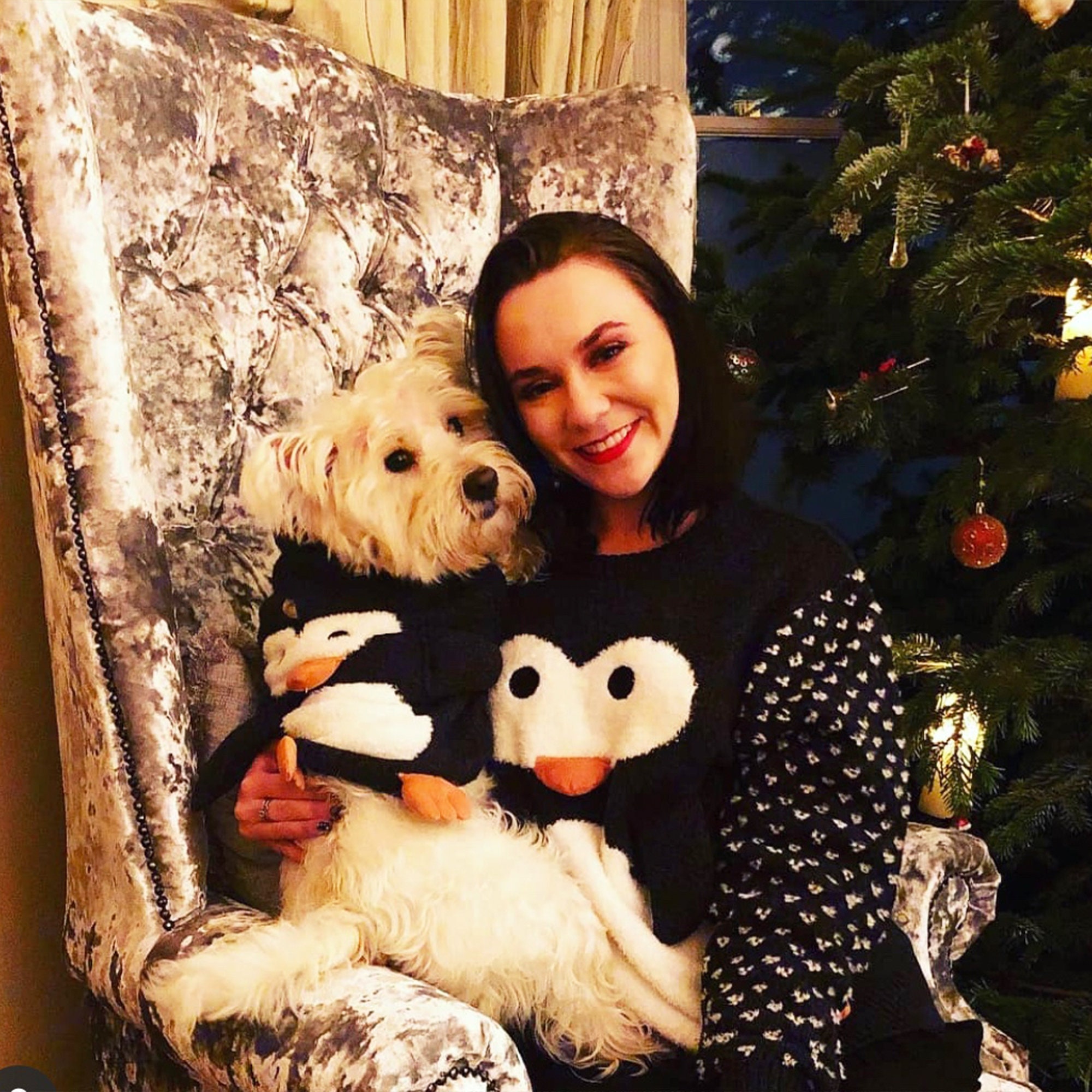 Matching Dog Owner Penguin Jumper