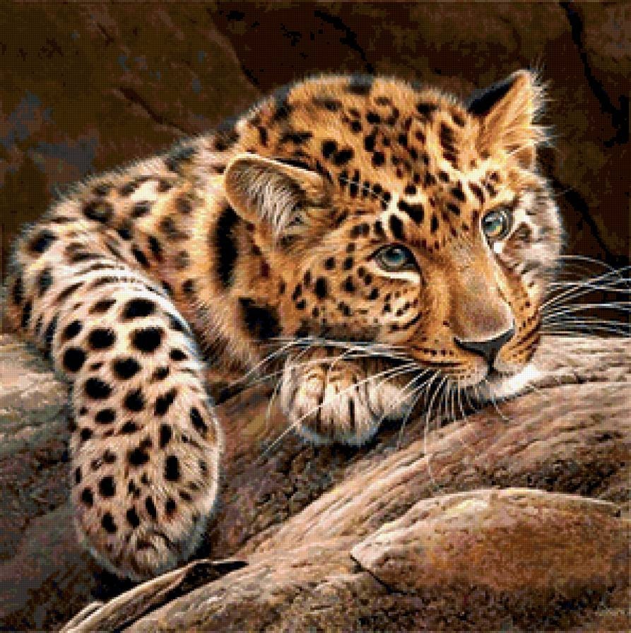 Алмазная Мозаика Кошки Купить Интернет Магазин Недорого Алмазная Мозаика Кошки Купить Интернет Магазин Недорого
