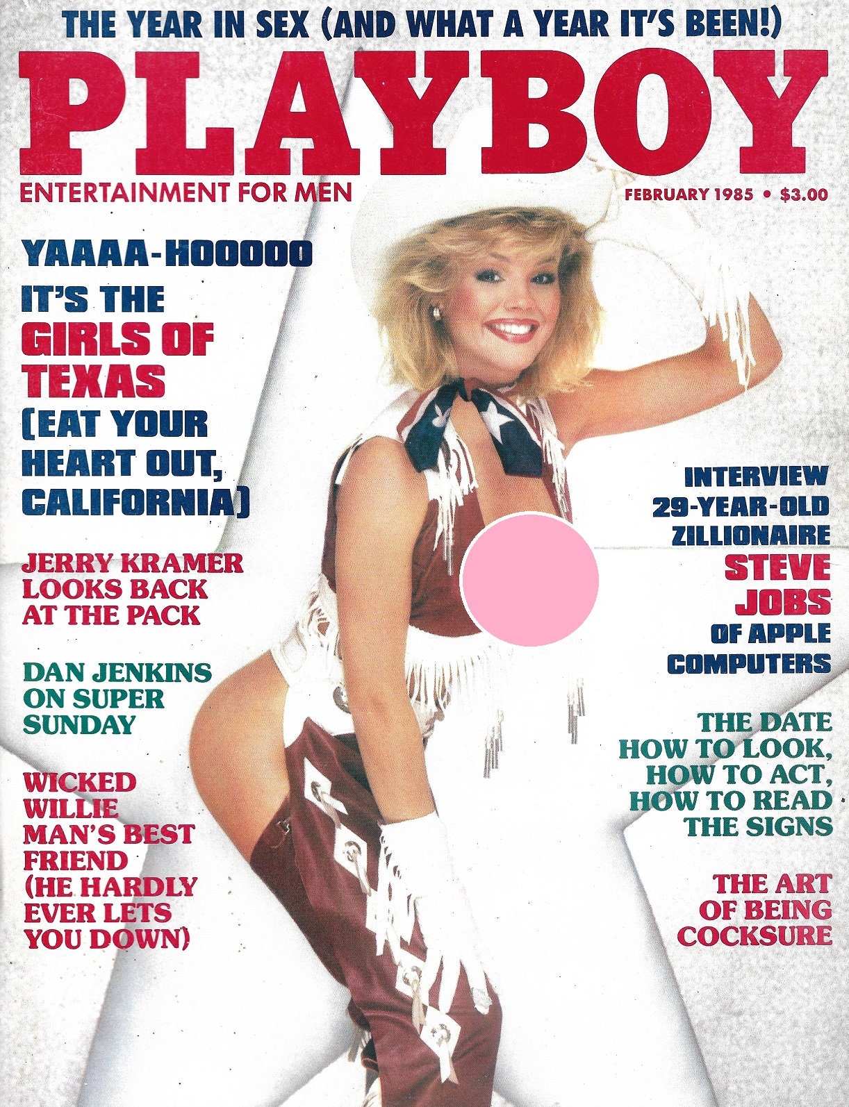 Vintage Playboy February Steve Jobs Interview Cherie Witter