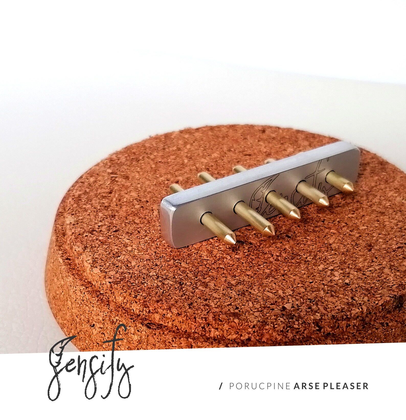 Porcupine Arse Pleaser By Sensify BDSM Anal Play Ass Trainer Etsy Canada