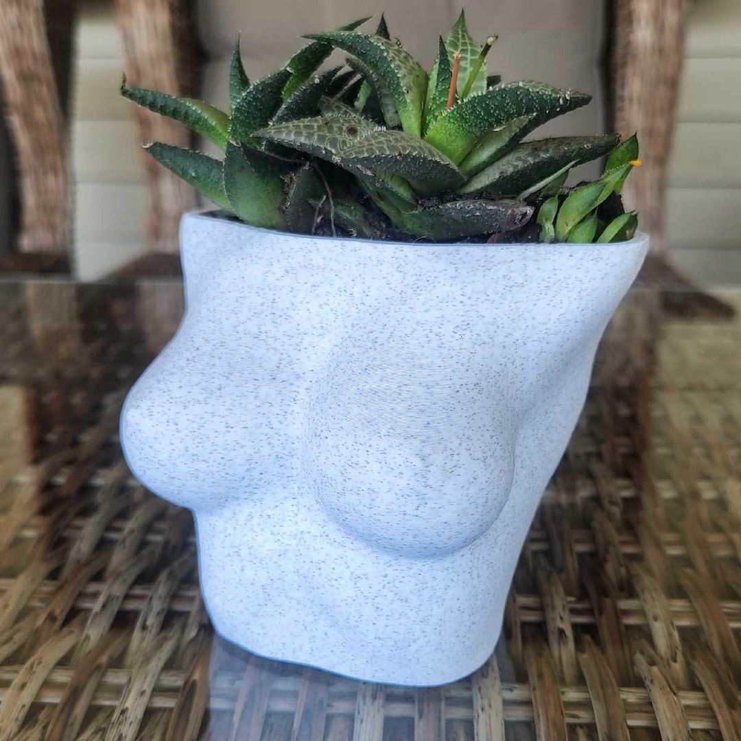 Breast Planter Female Boob Flower Vase D Printed Titty Pot For Plants Fun Body Positive