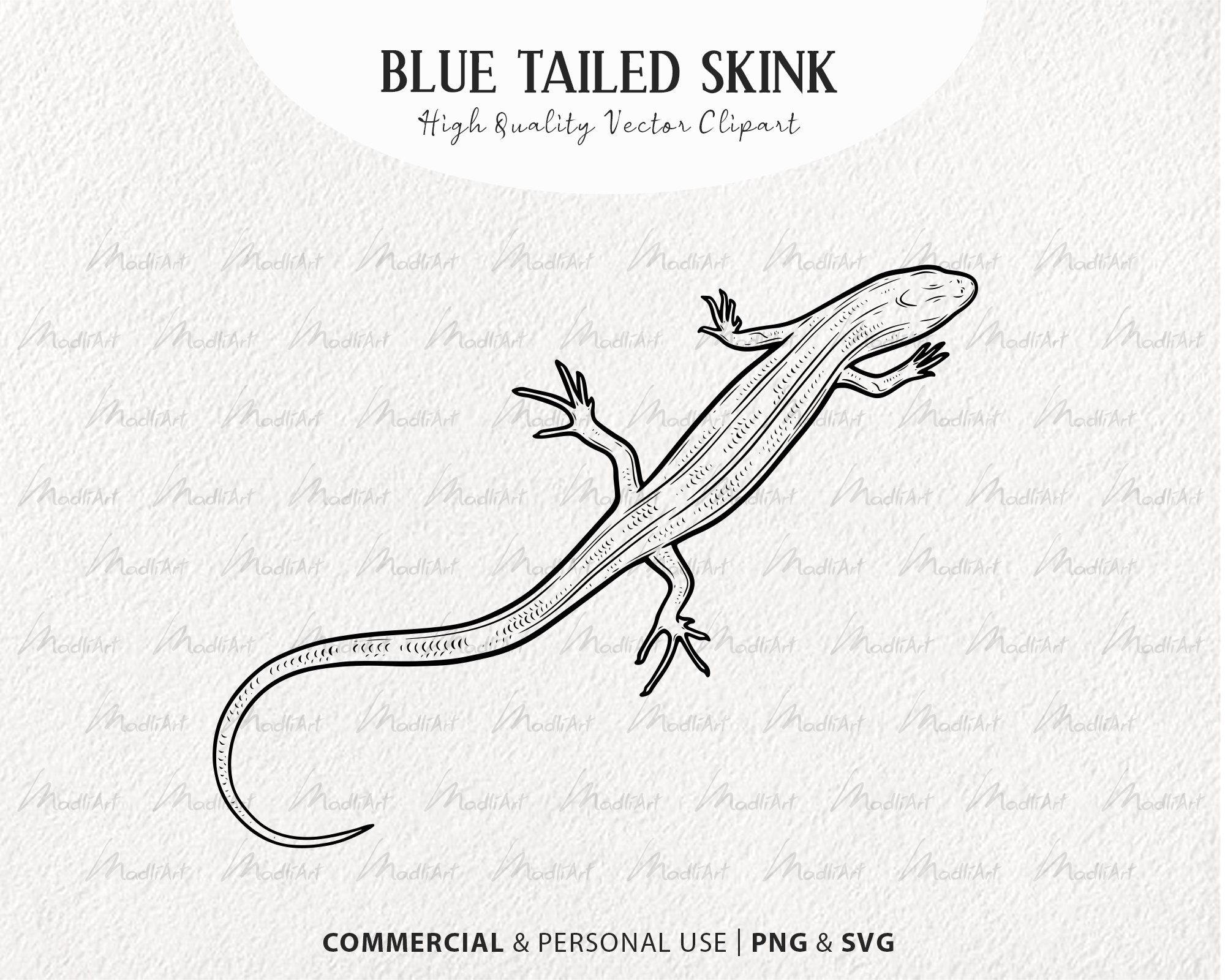 Blue Tailed Skink Svg Clipart Snake Like Lizard Vector Drawing Blue