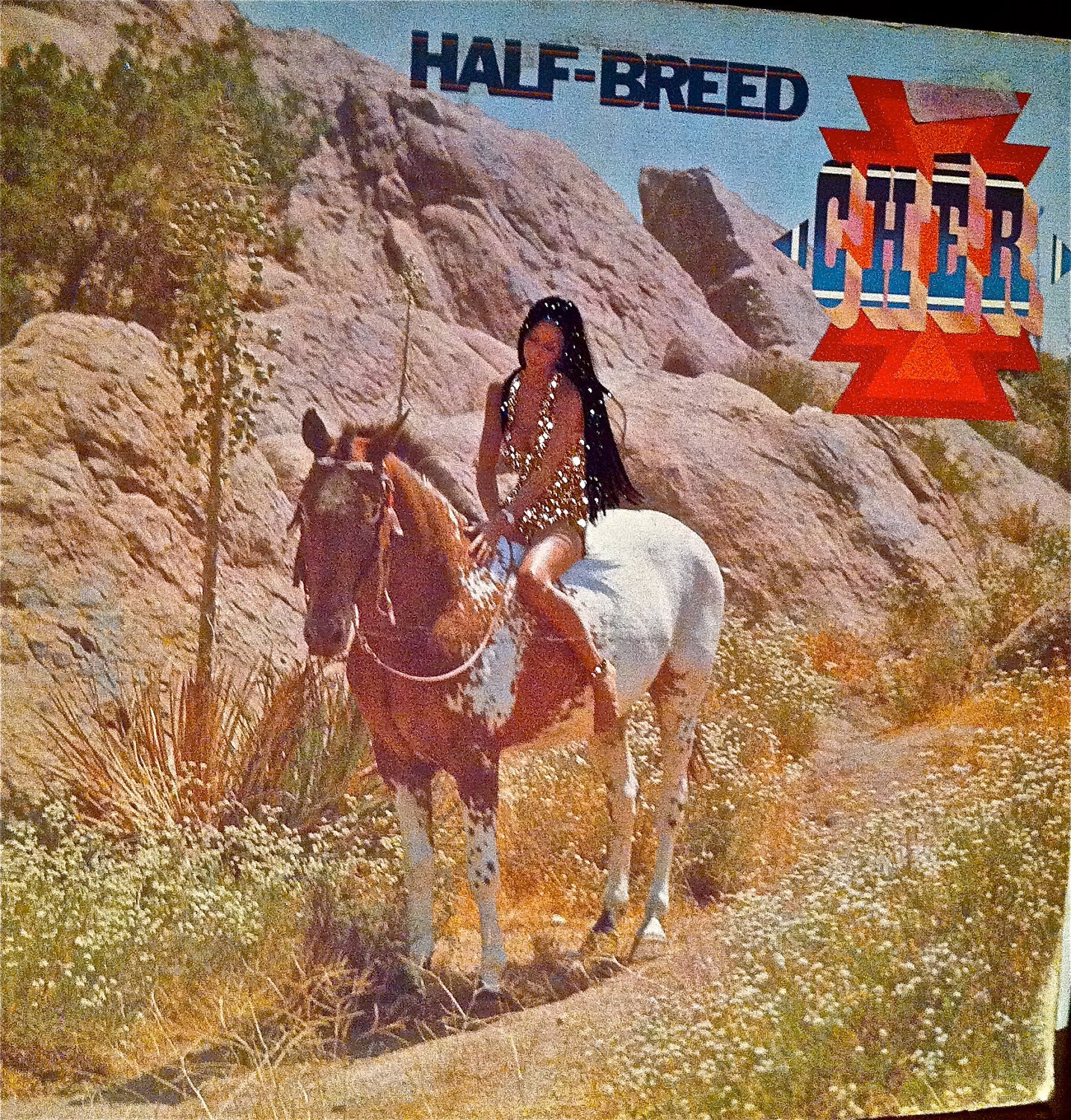 Glittered Cher Half Breed Album Etsy
