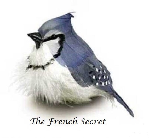 Christmas 2 Blue Jay Bird Ornament Decoration Feather Tree Image 0