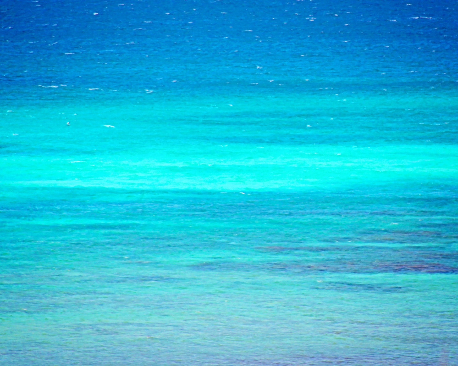 Ocean Blue Xiaomi