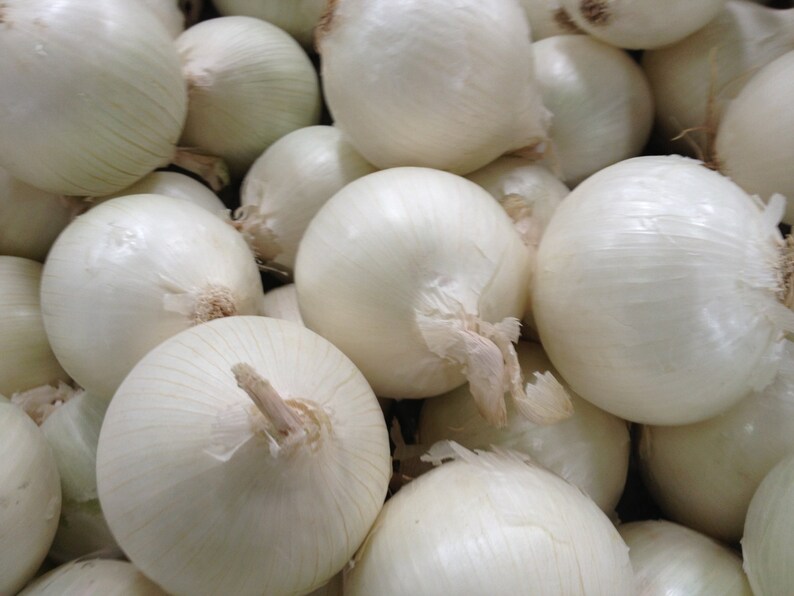 White onion ass