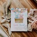 Gender Reveal Teddy Bear Hot Air Balloon Invitation Blue Pink Etsy