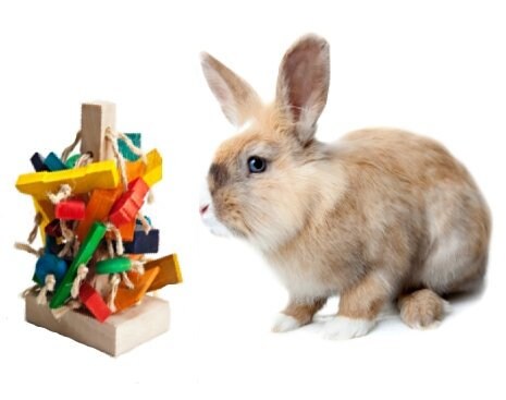 Игрушка Вибратор Кролик