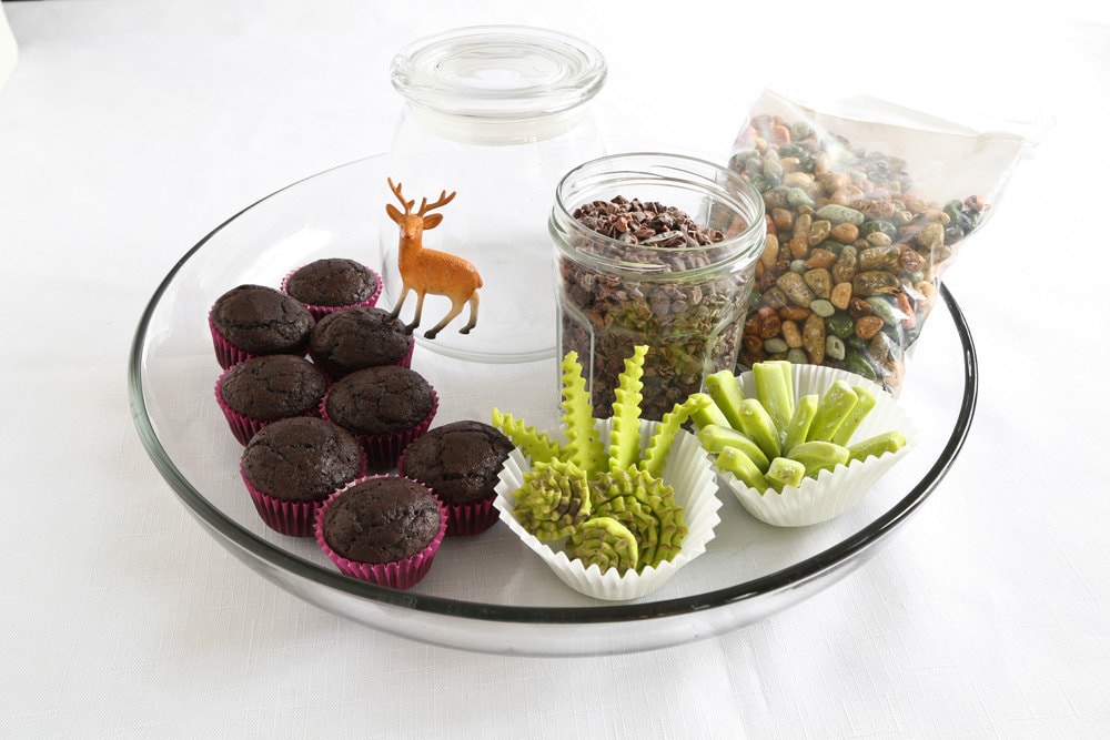 Photo of edible terrarium supplies