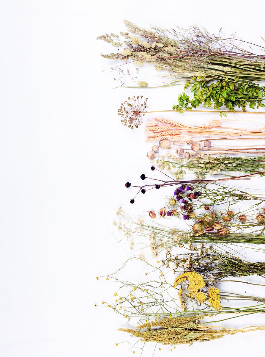 Dried flower varieties to use in this DIY project