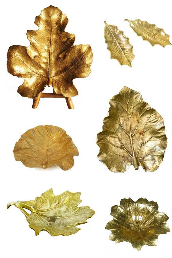 leaves
