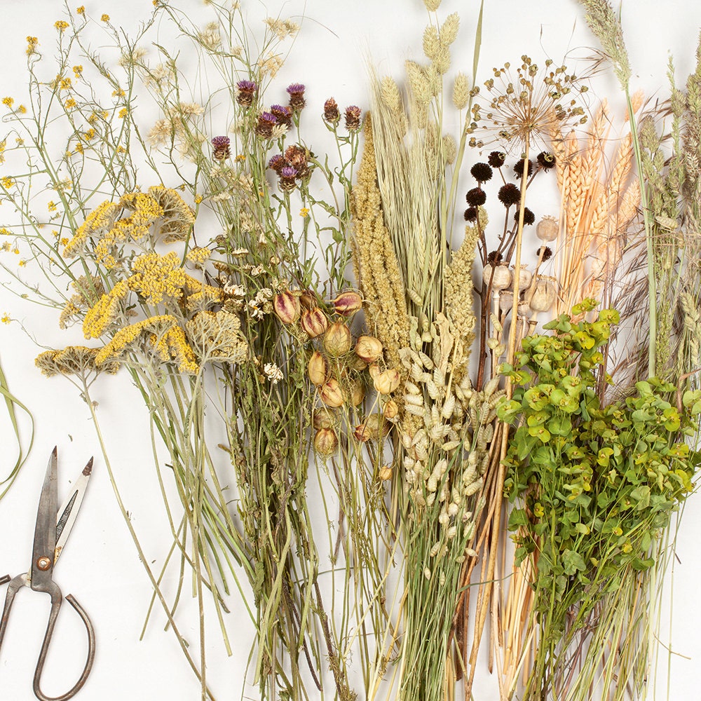 Dried flowers and shears sit atop a flat surface