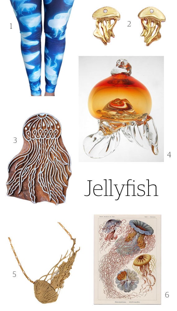 jellyfish