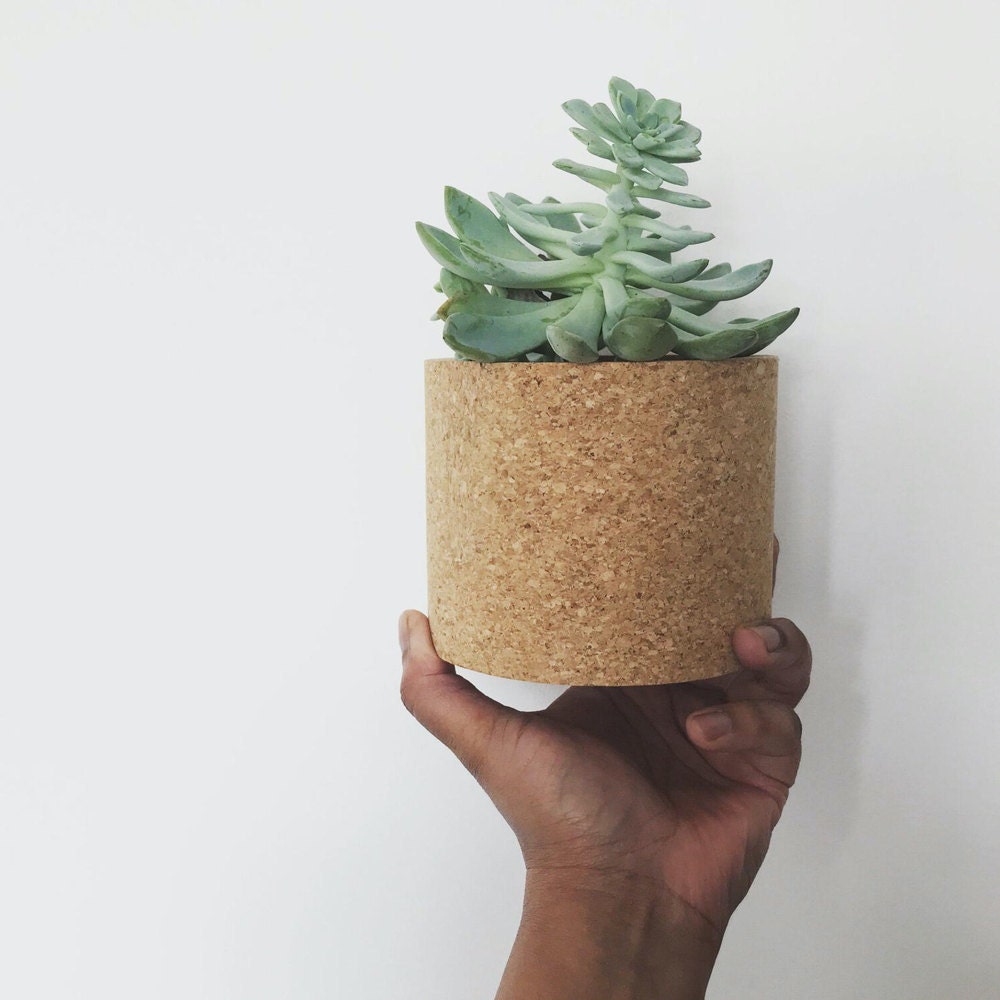 A woman holding up a cork planter with succulent inside.