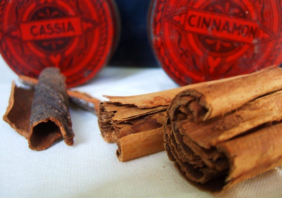etsy_spices_cinnamon_cassia_570