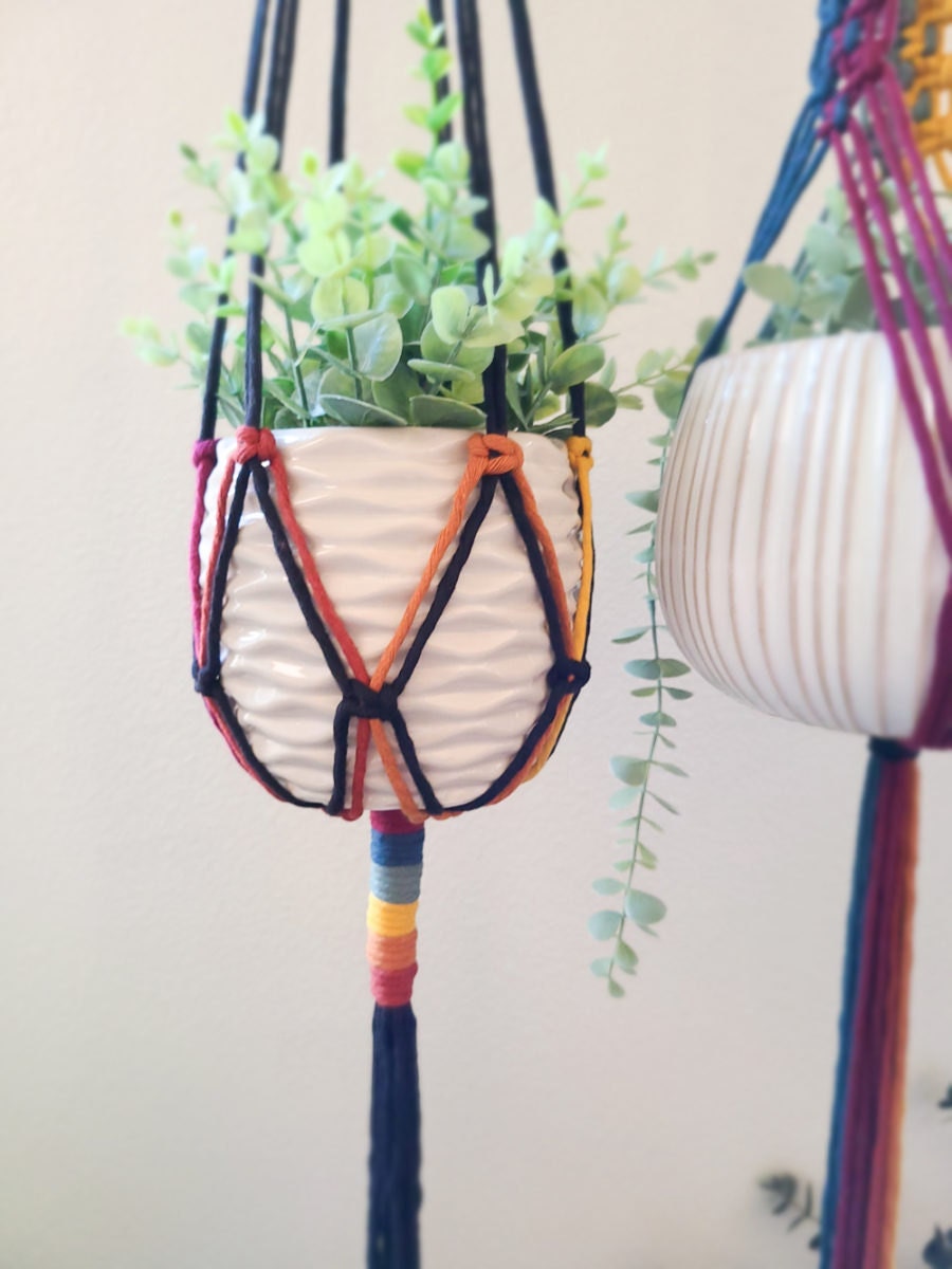 A rainbow plant hanger from Sweet Home Alberti