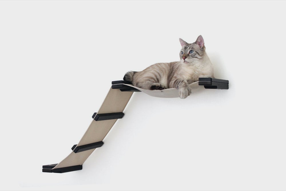 A wall-mounted cat shelf with ladder from CatastrophiCreations