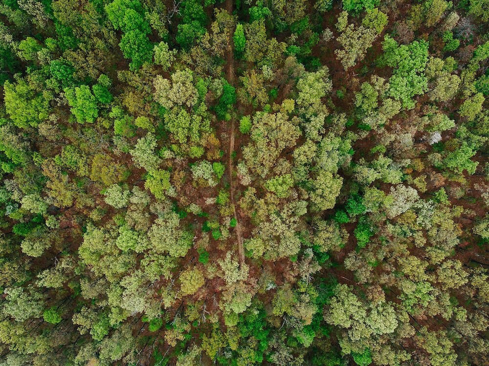 Aerial shot of the Ozarks