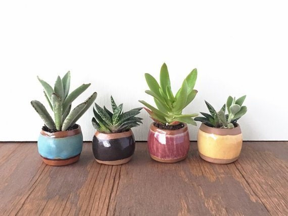 kristensaksajuen-petite-ceramic-planter