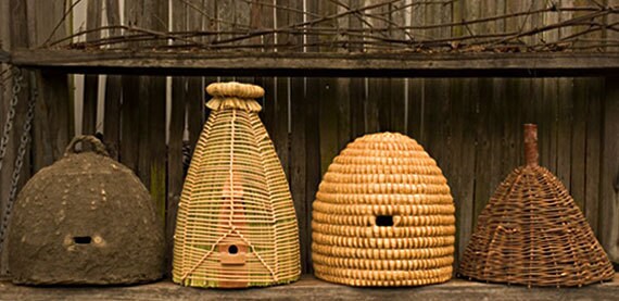 karen_brown_charlie_kennard_hives