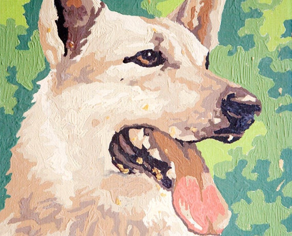 shep