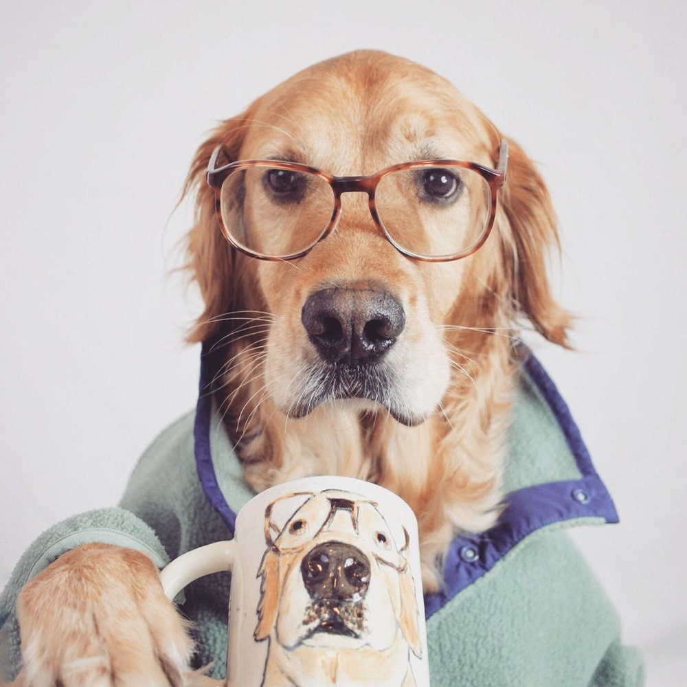 A sculpted pet portrait mug from Hadley Clay