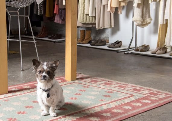 vaux-vintage-pup