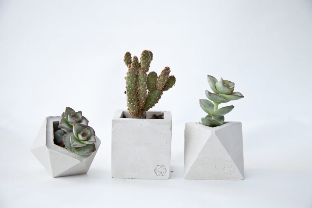 concrete planter