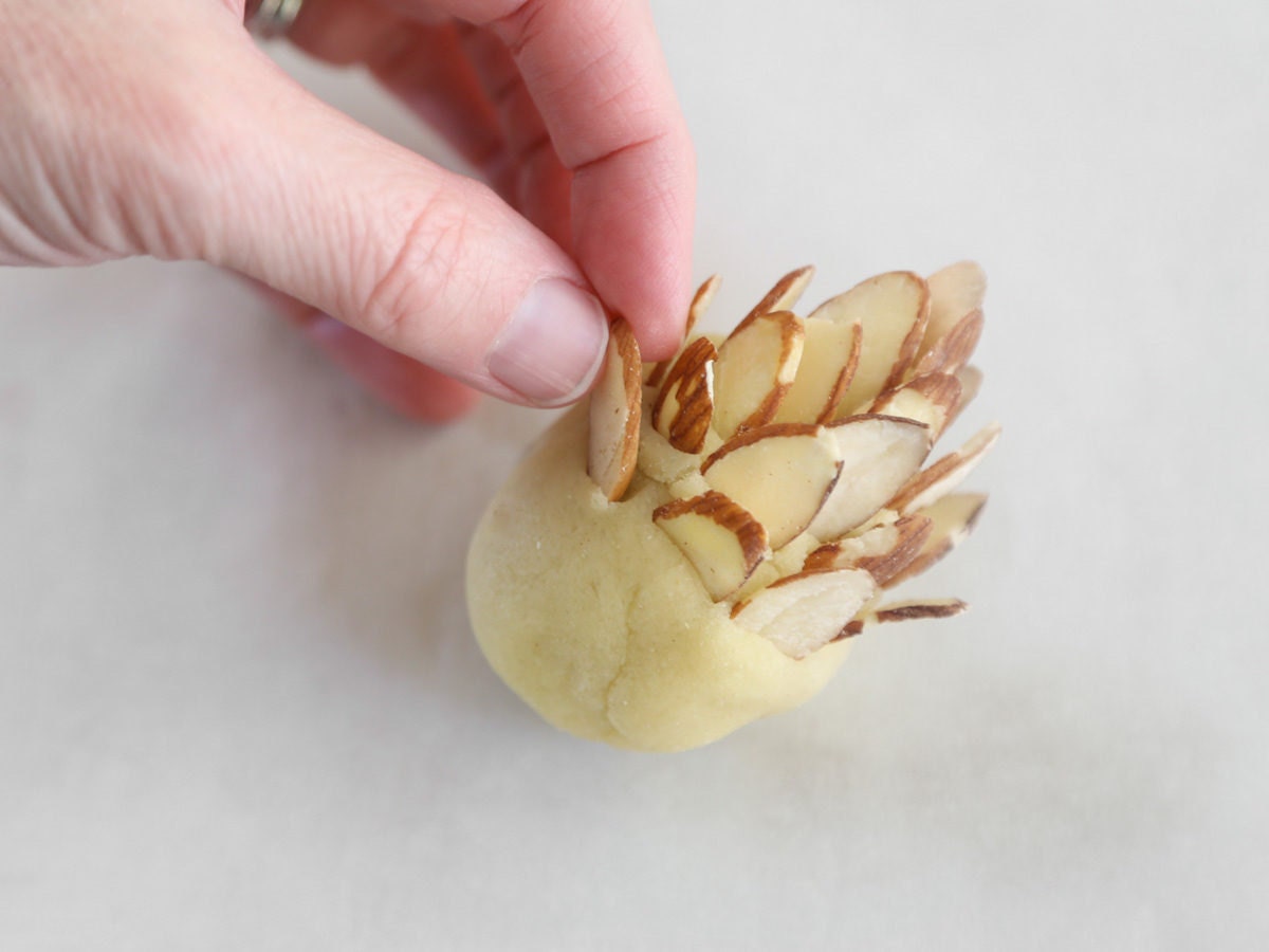 Step 3 - Add almond scales Step 3 - Add almond scales