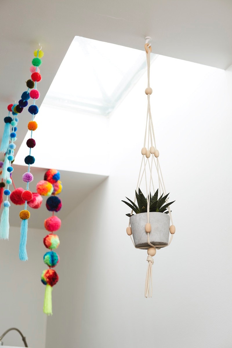 Finished plant hanger with cactus hangs near a sunny skylight.