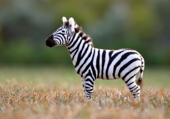 NeedleFeltedZebrabyTP