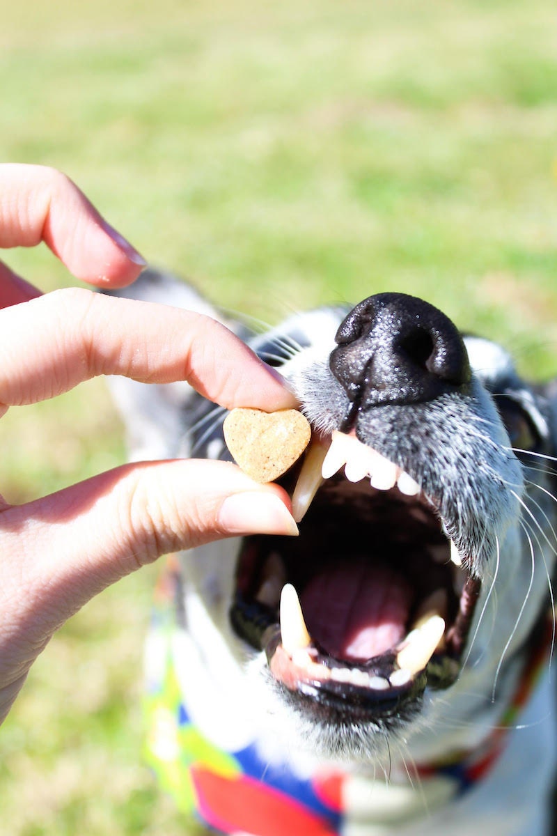 Heart-shaped dog treats from La Barkeria